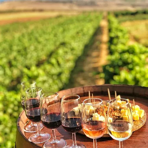 HOUSE WINE