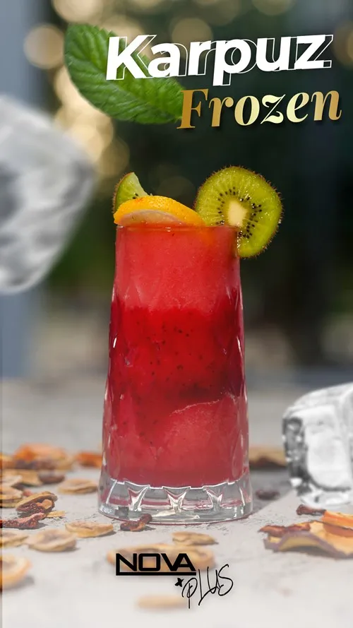 ELMA FROZEN