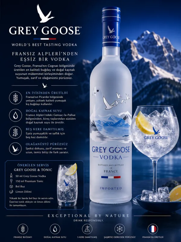 GREY GOOSE 5 cl