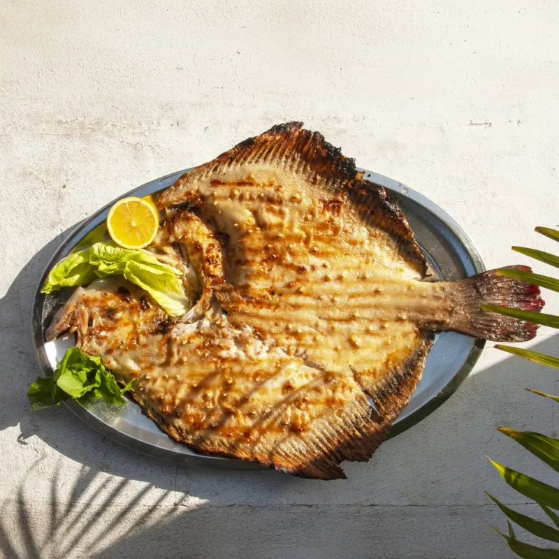 KALKAN
